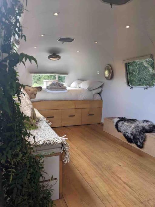 Airstream, Vintage American Caravan & Hottub Ashburton Exterior foto